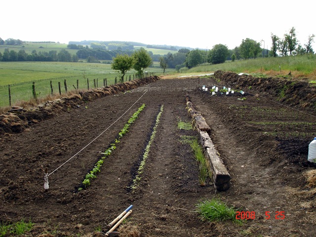 [DSC00025[4].jpg]